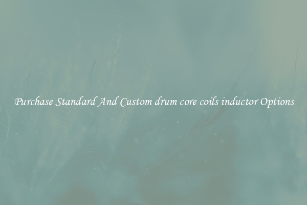 Purchase Standard And Custom drum core coils inductor Options