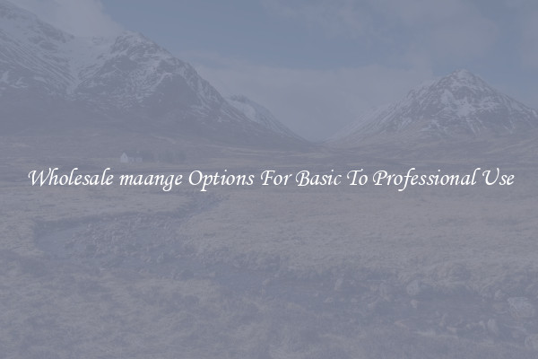 Wholesale maange Options For Basic To Professional Use