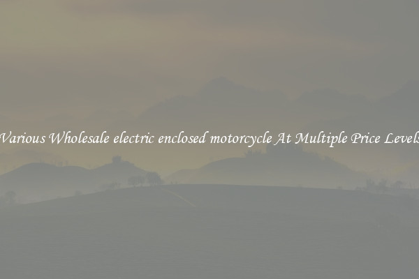 Various Wholesale electric enclosed motorcycle At Multiple Price Levels