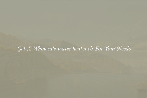 Get A Wholesale water heater cb For Your Needs