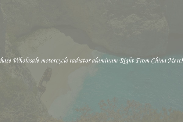 Purchase Wholesale motorcycle radiator aluminum Right From China Merchants