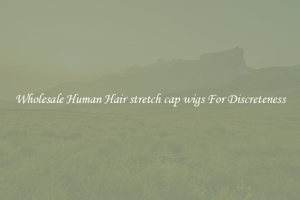 Wholesale Human Hair stretch cap wigs For Discreteness