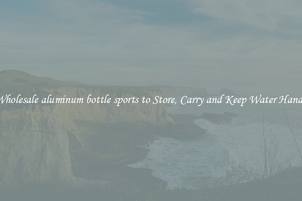 Wholesale aluminum bottle sports to Store, Carry and Keep Water Handy