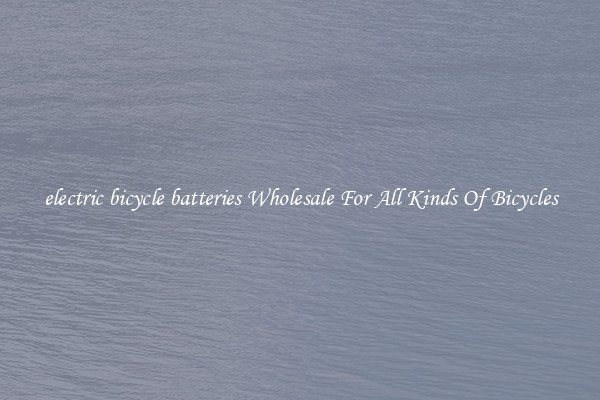 electric bicycle batteries Wholesale For All Kinds Of Bicycles