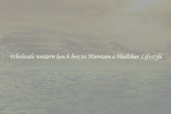 Wholesale western lunch box to Maintain a Healthier Lifestyle