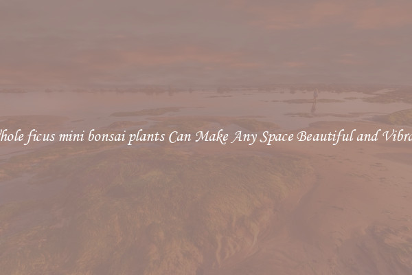 Whole ficus mini bonsai plants Can Make Any Space Beautiful and Vibrant