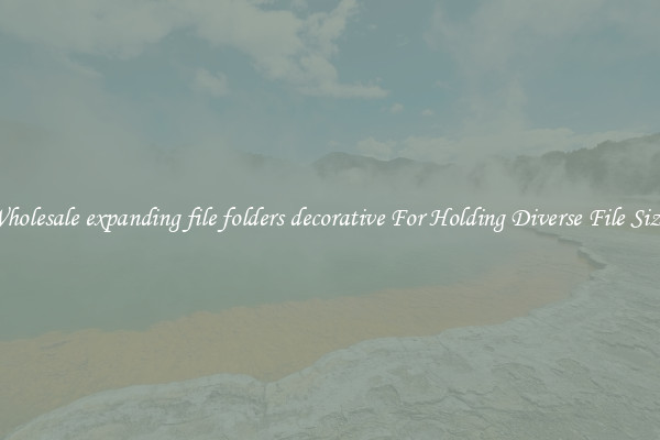 Wholesale expanding file folders decorative For Holding Diverse File Sizes