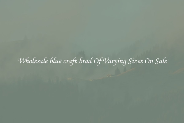 Wholesale blue craft brad Of Varying Sizes On Sale