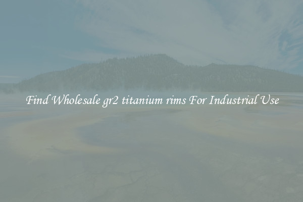 Find Wholesale gr2 titanium rims For Industrial Use