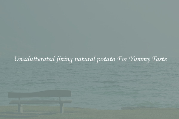 Unadulterated jining natural potato For Yummy Taste