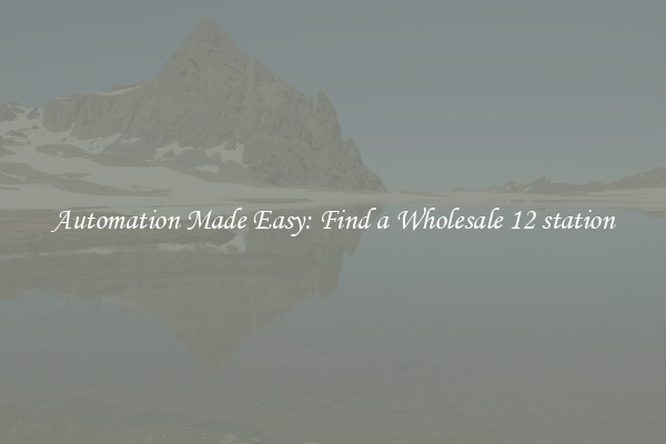  Automation Made Easy: Find a Wholesale 12 station 