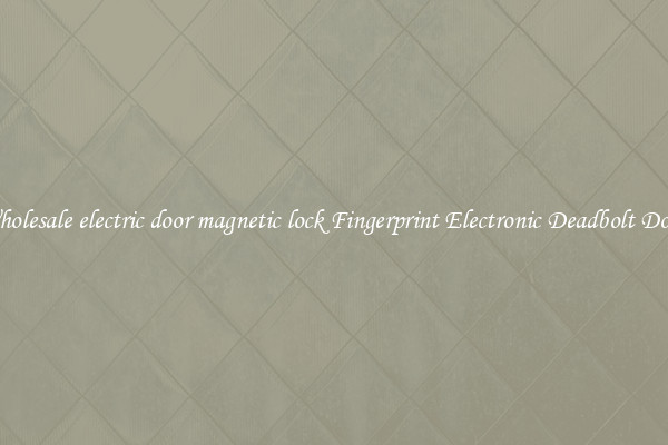 Wholesale electric door magnetic lock Fingerprint Electronic Deadbolt Door 