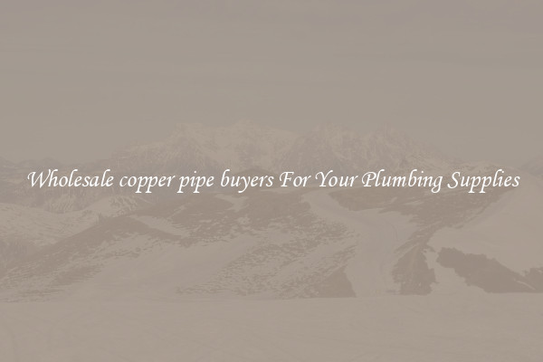 Wholesale copper pipe buyers For Your Plumbing Supplies