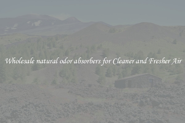 Wholesale natural odor absorbers for Cleaner and Fresher Air