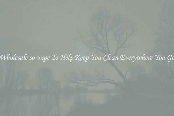 Wholesale so wipe To Help Keep You Clean Everywhere You Go