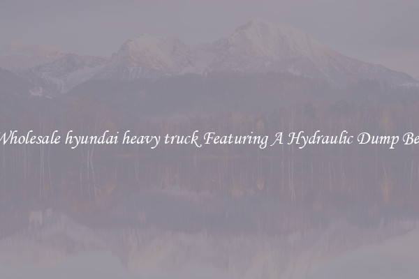 Wholesale hyundai heavy truck Featuring A Hydraulic Dump Bed