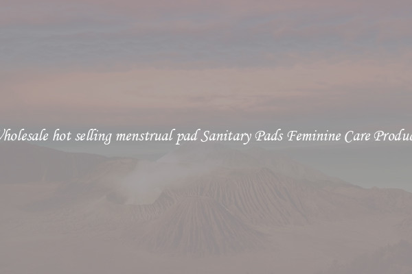 Wholesale hot selling menstrual pad Sanitary Pads Feminine Care Products