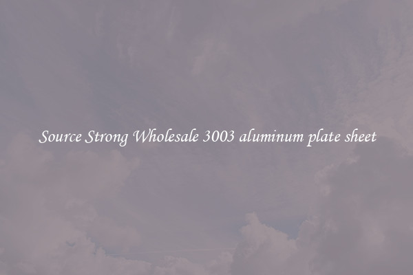 Source Strong Wholesale 3003 aluminum plate sheet