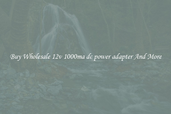 Buy Wholesale 12v 1000ma dc power adapter And More